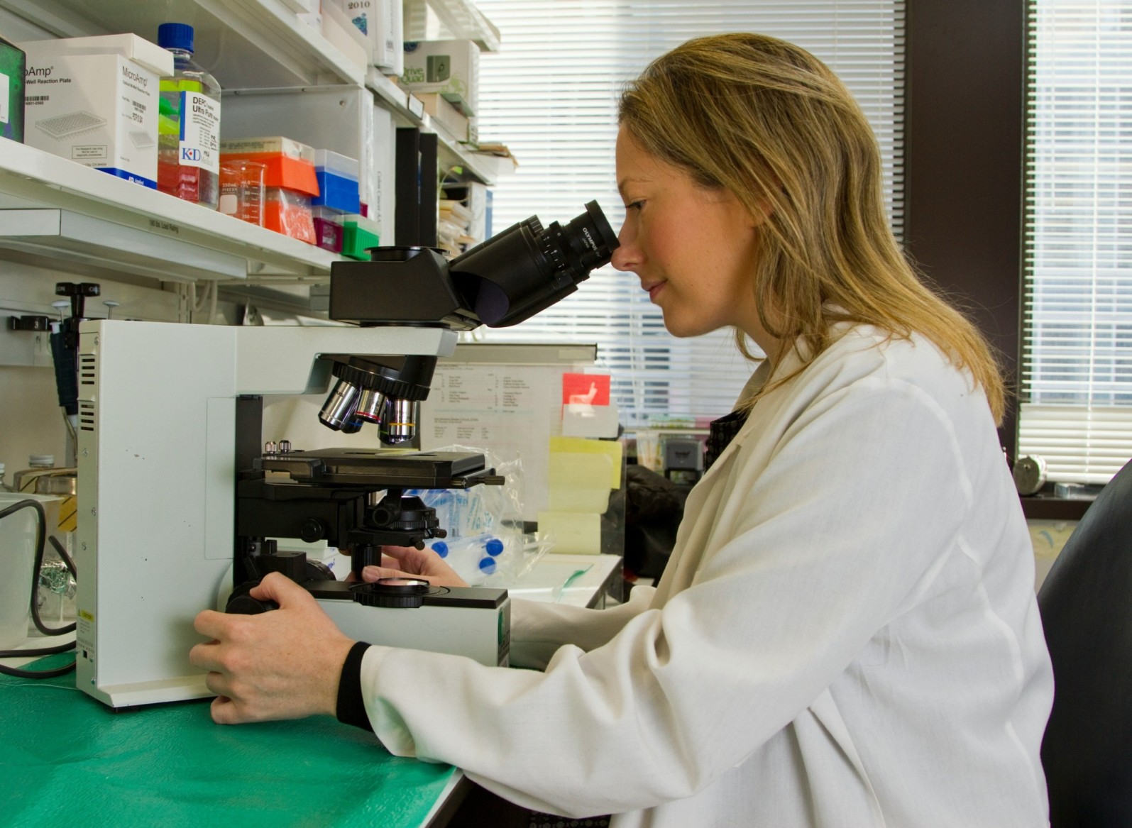 pathology software – why choose CognitiSoft